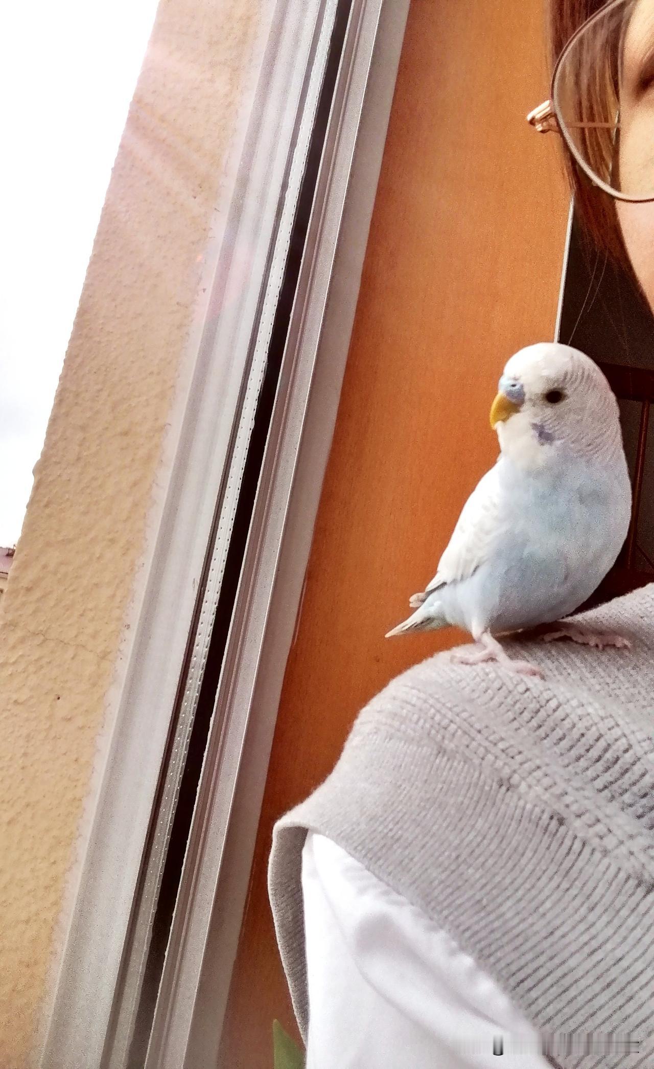 别让自己轻易卷入那些看似重要、实则消耗的忙碌里。你的注意力是这个碎片化时代里最稀