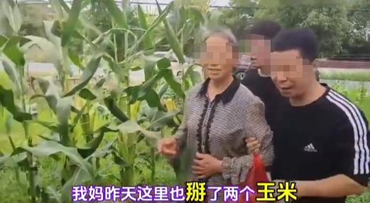 “还要脸吗？”老太太带孙子在男子地里，偷掰两个玉米，结果吃后双双农药中毒。老太家