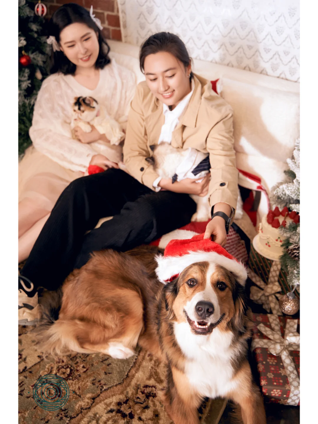 西雅图|三胎家庭来拍圣诞写真🌈❄️🎄