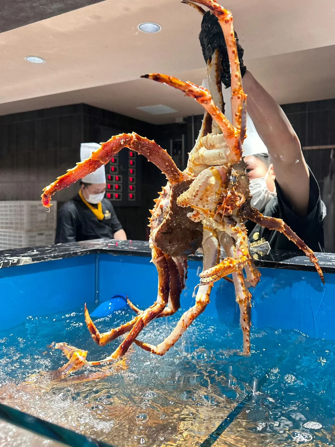 沉浸式挑海鲜，准备下锅🦞🦪