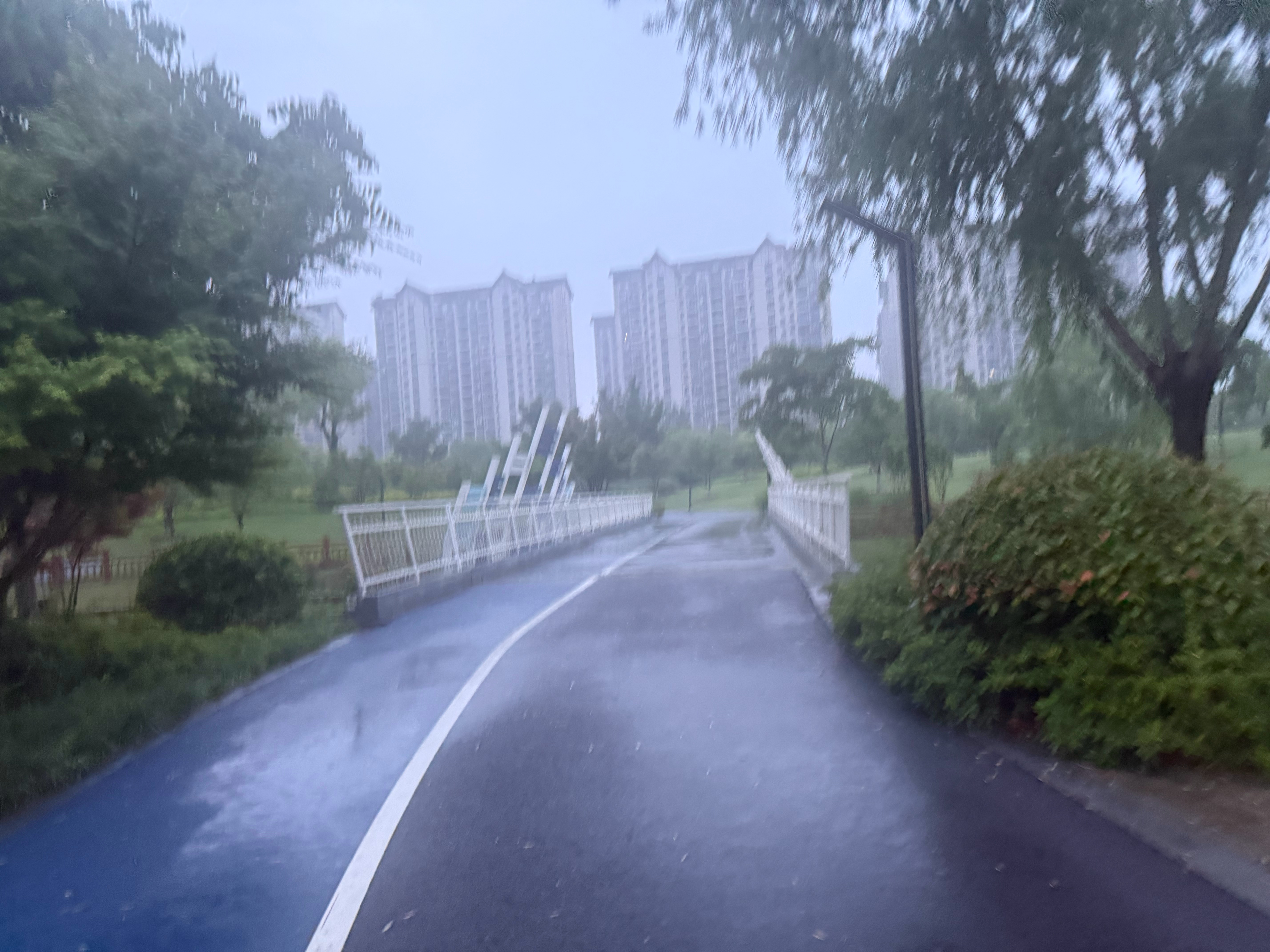 跑步  跑步日记：2026年6月4日星期四，每天跑步一公里，连续不间断跑步打卡=