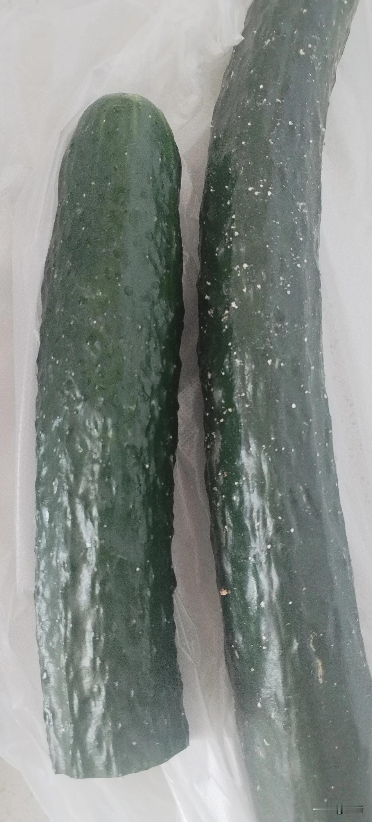 人，有时想想也奇怪，我从小就不喜欢吃黄瓜，今年，却很喜欢吃黄瓜了。

今天中午，
