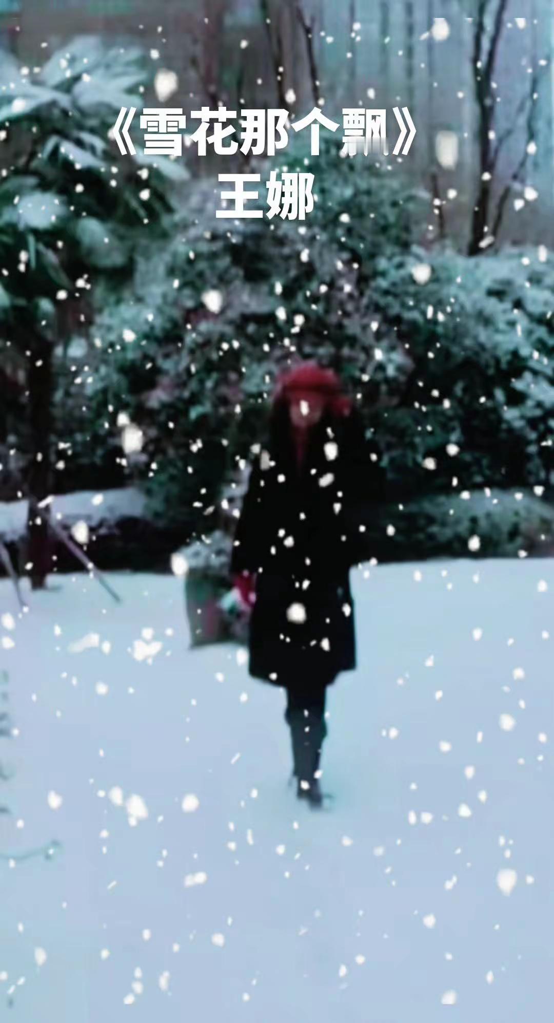 歌曲表达了在寒风中雪花飘落的情景，以及主人公对过去的回忆和对未来的无奈。王娜的演