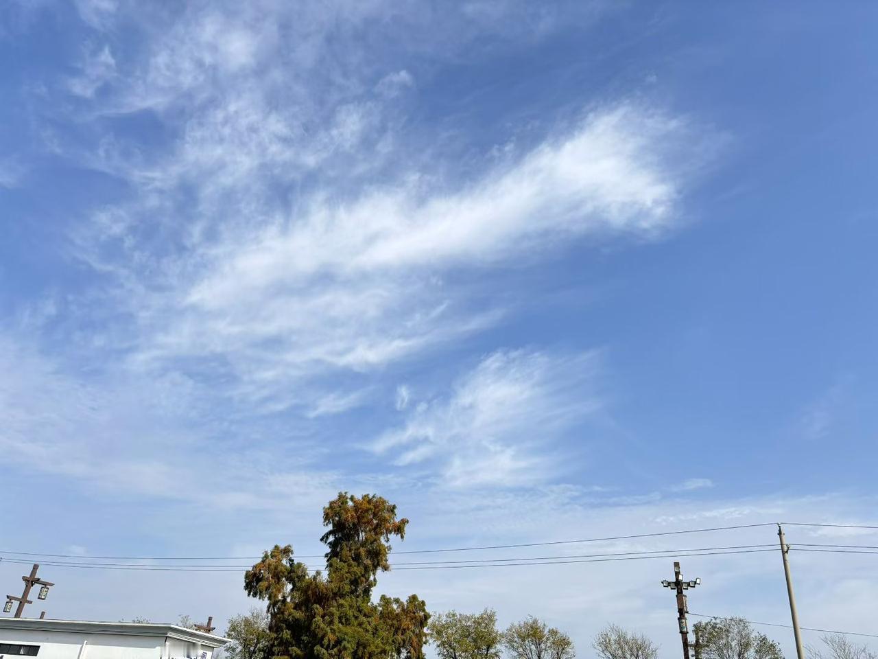 说真的，人一过中年，就发现日子跟年轻时完全不是一个味儿了。没了那股子浮华劲儿，现