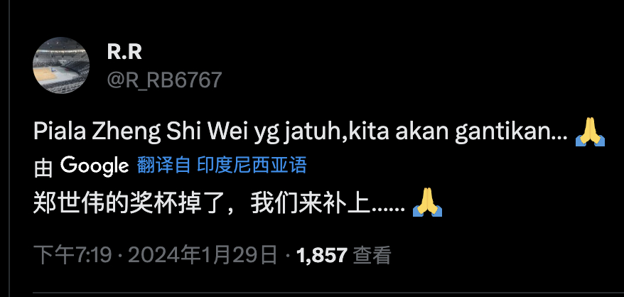 哈哈哈，思维摔碎的冠军奖杯官方会给补上的[哈哈][哈哈][哈哈]#2024印尼羽