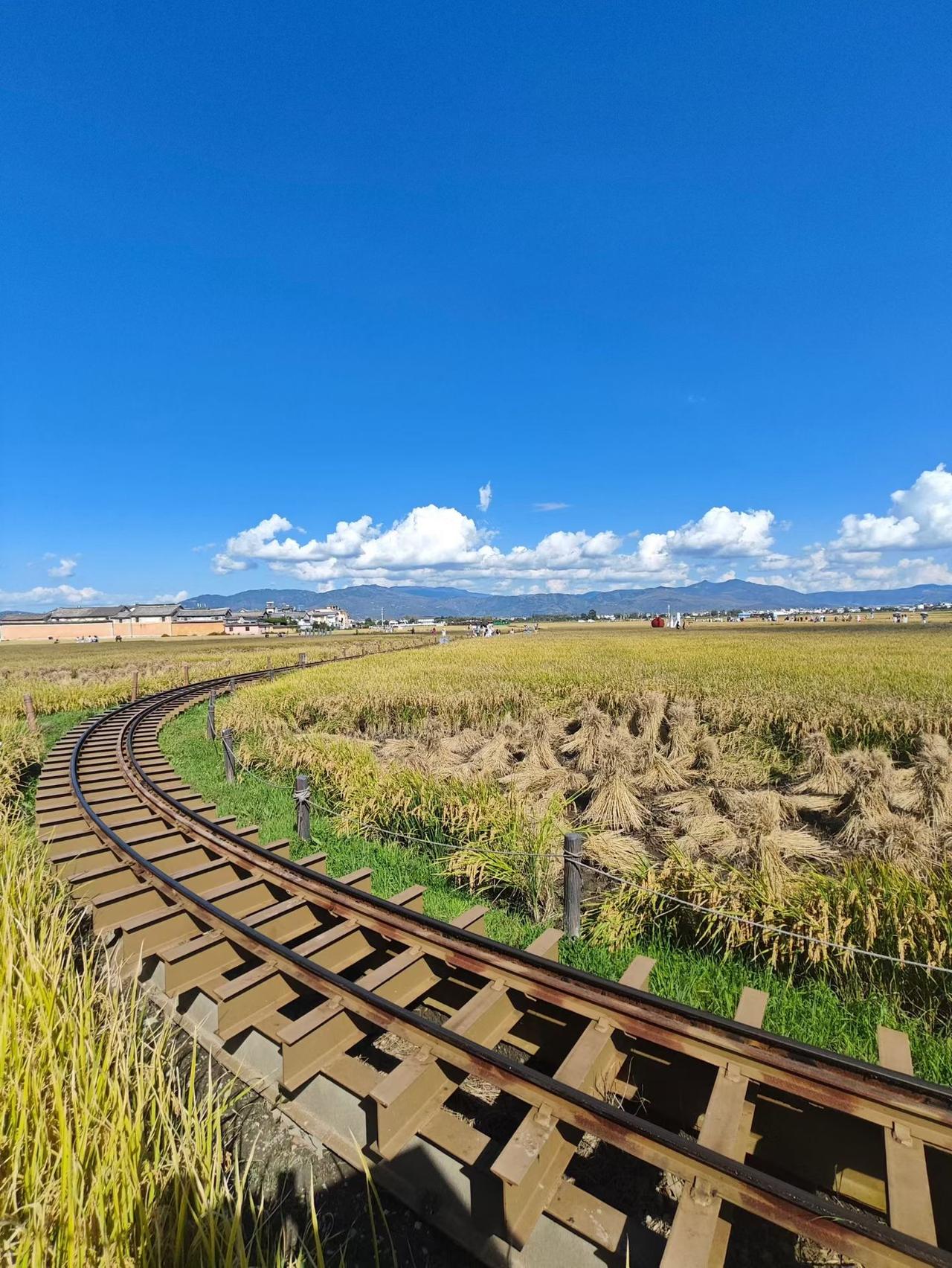 紧急提醒！电动车集体涨价！多品牌官宣，家里有小电驴的快存！

家人们，重要消息！
