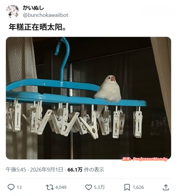 感觉很好吃捏meme ​​​