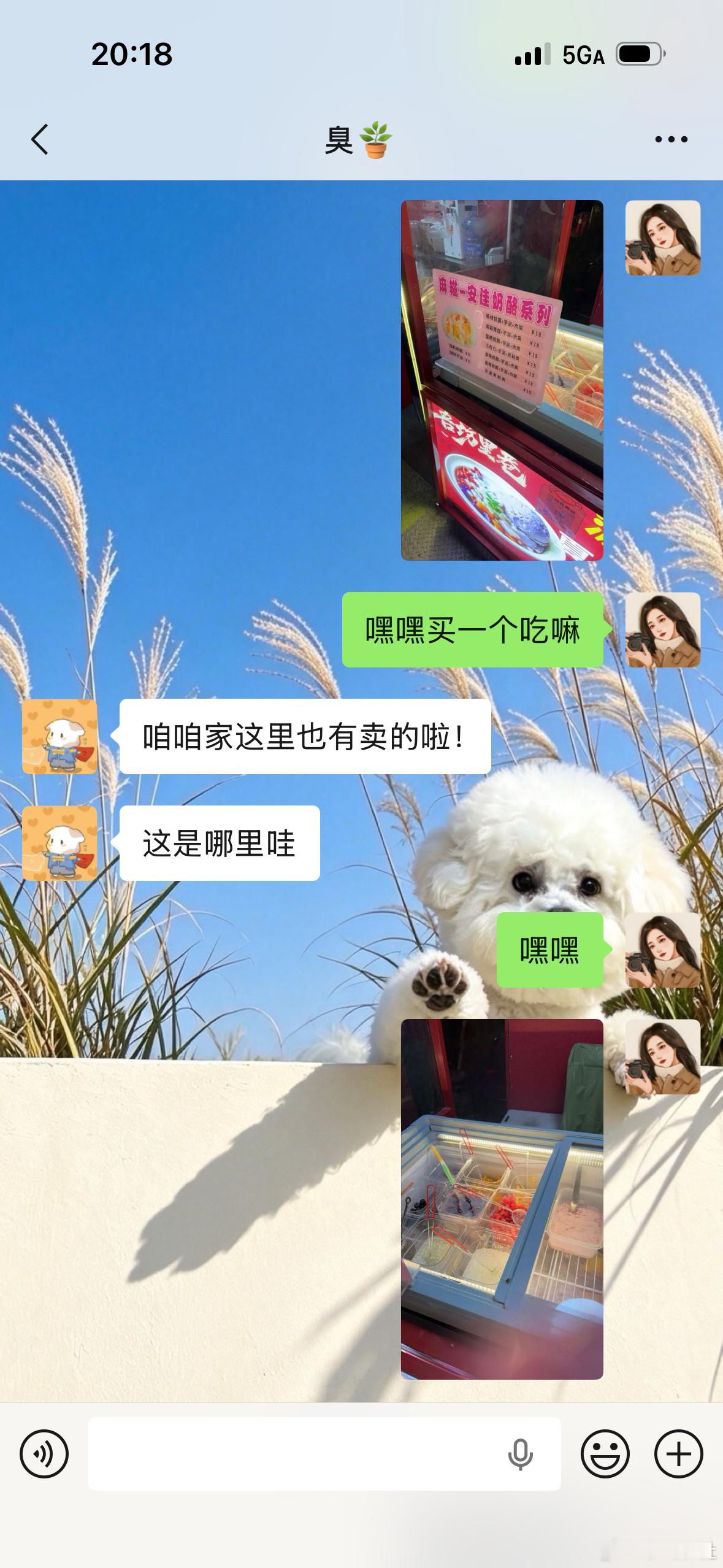 晚上没吃饭逛小吃街买了个麻糍蹲路边吃完了