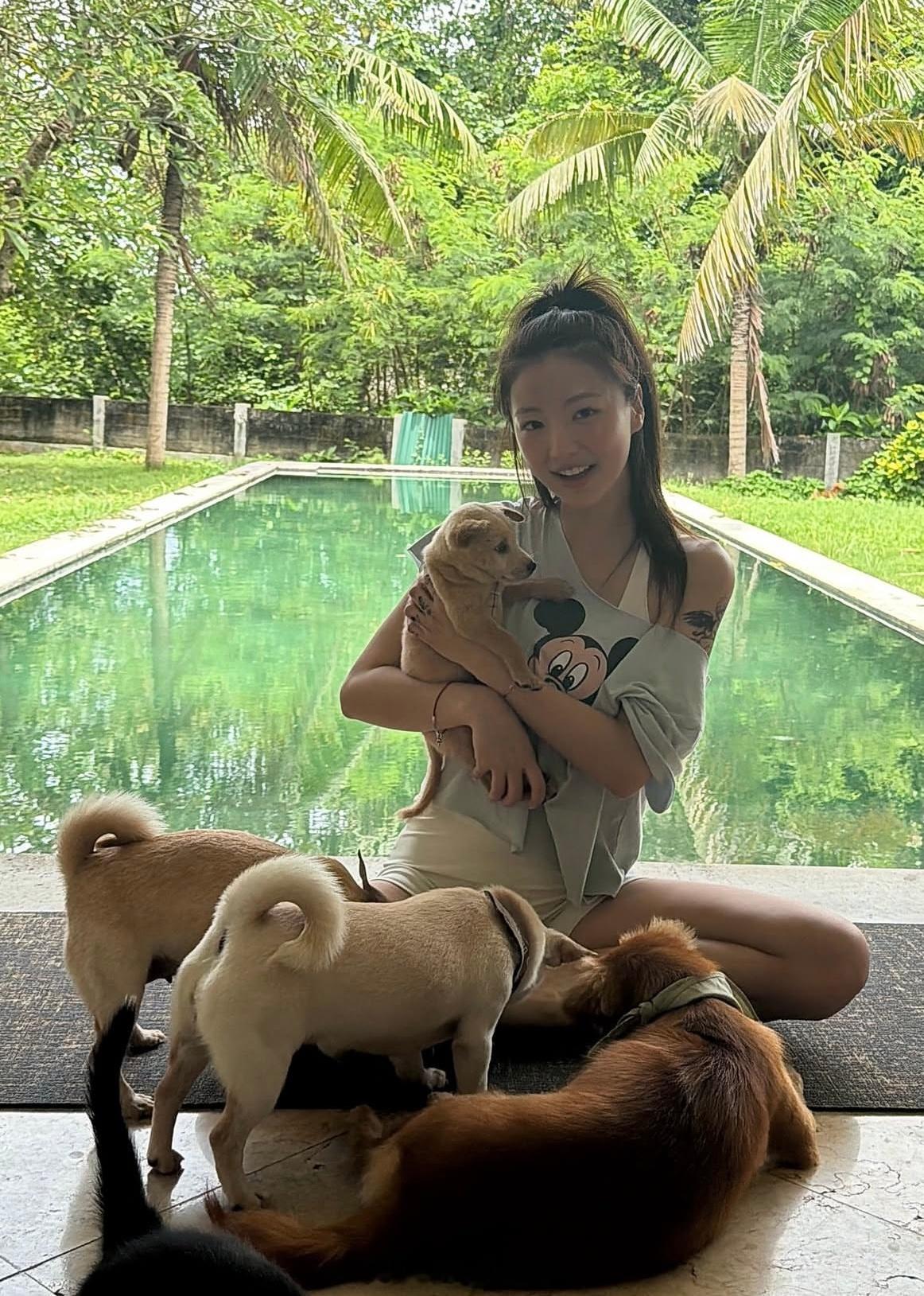 穿搭分享 连续更新第2728天韩国时尚女生日常搭配韩系穿搭超能新星汇新星v计划开