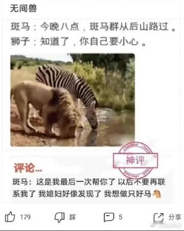 我只想做只好马 ​​​