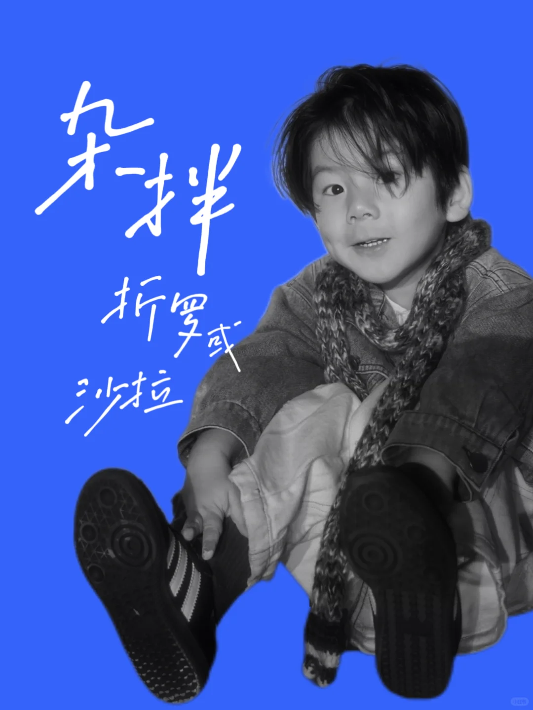 《杂拌折罗或沙拉》新小演员一枚
