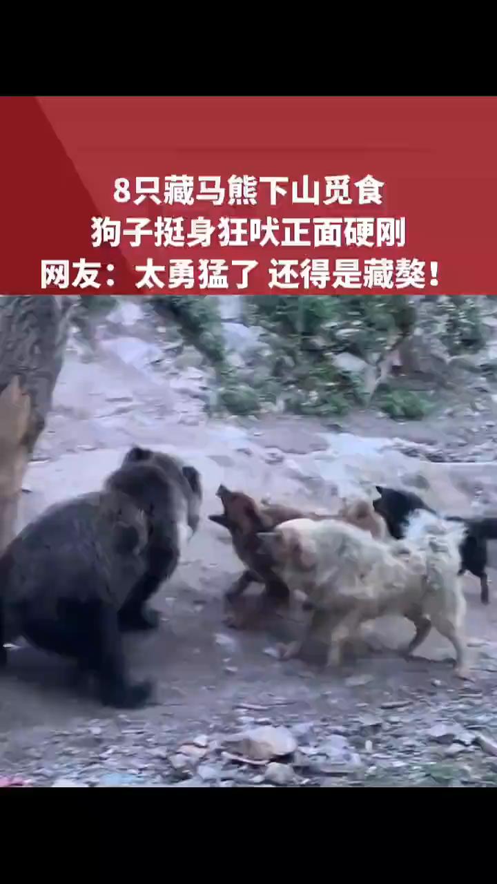 最佳视角躲厕所里面看。