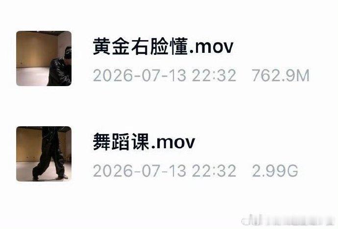 刘耀文黄金右脸刘耀文舞蹈课第三视角 刘耀文网盘黄金右脸 