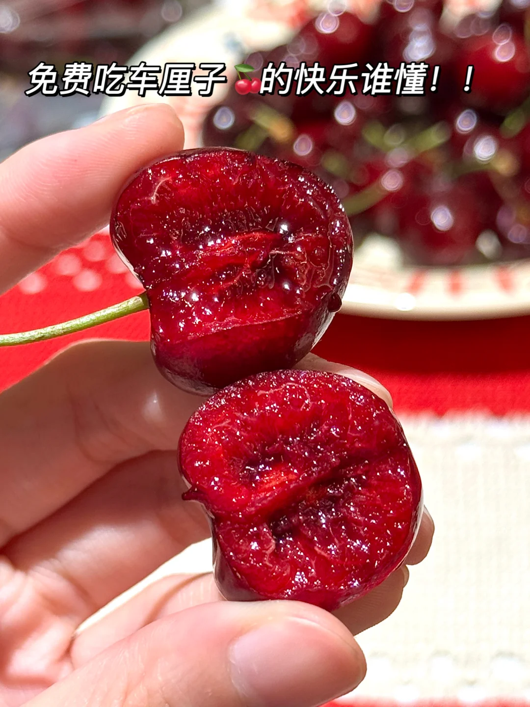 免费吃车厘子🍒！！ 薅羊毛的快乐谁懂！