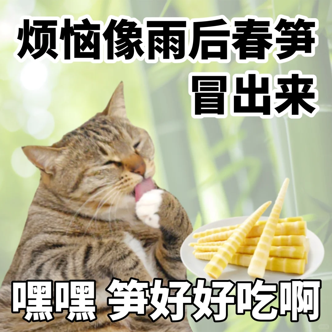 演我精神状态的表情包