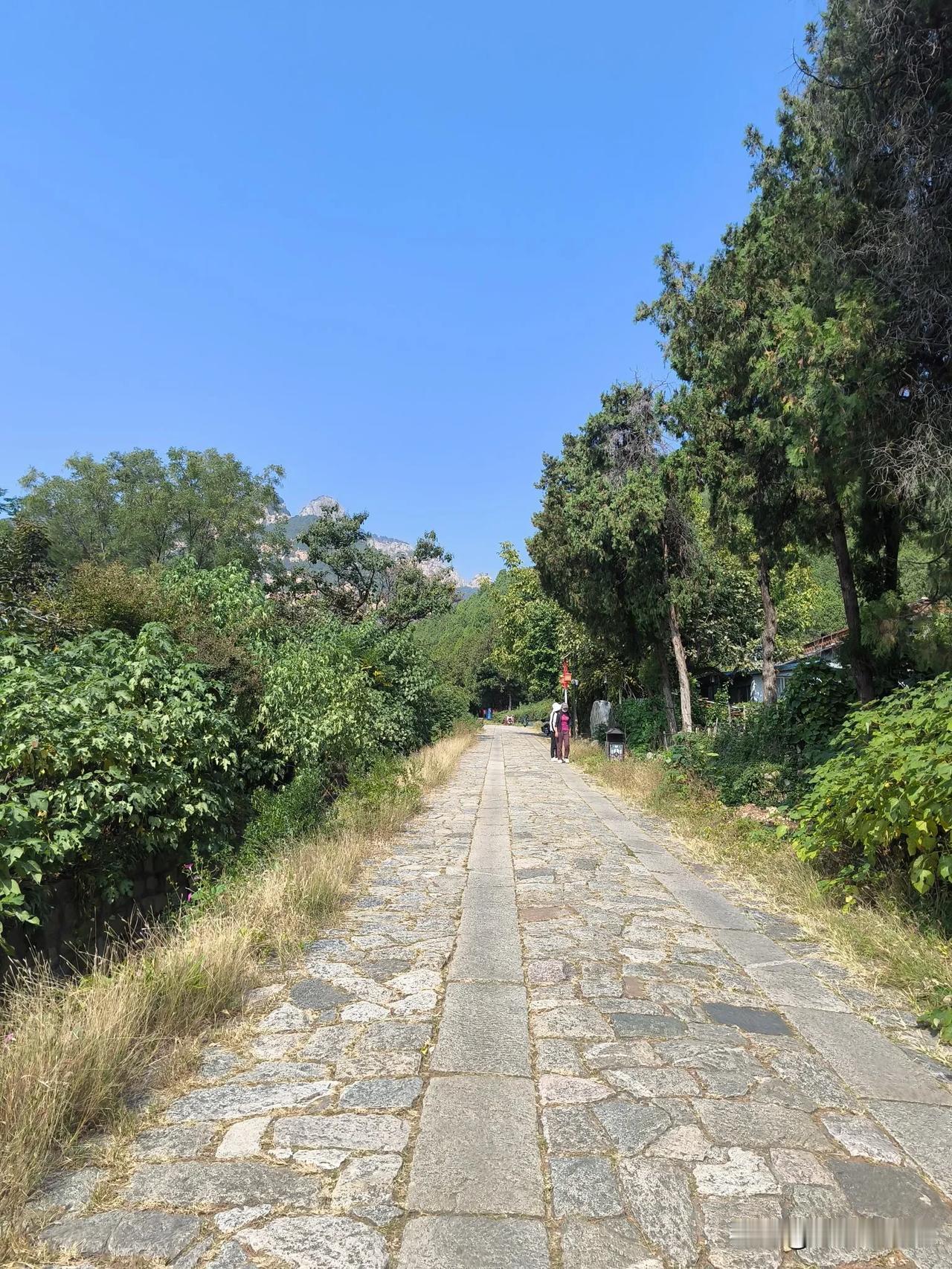 
秋天的景色美如画，
绿树成荫，
小溪潺潺，
漫步景区，
感受大自然的馈赠，
呼