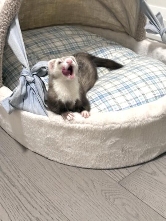 我家孩子能做童模吗？？