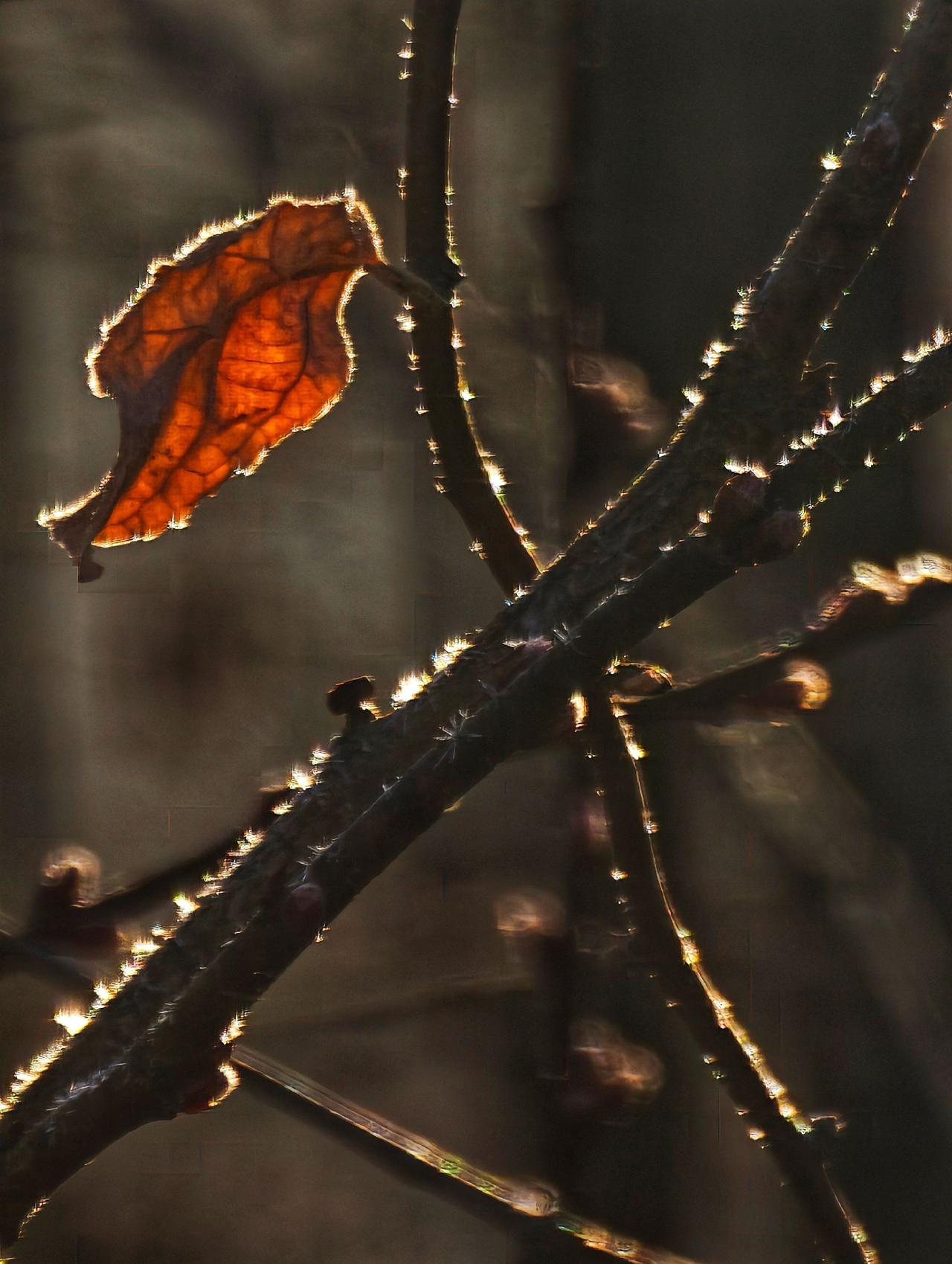 视觉效果 我用摄影看世界