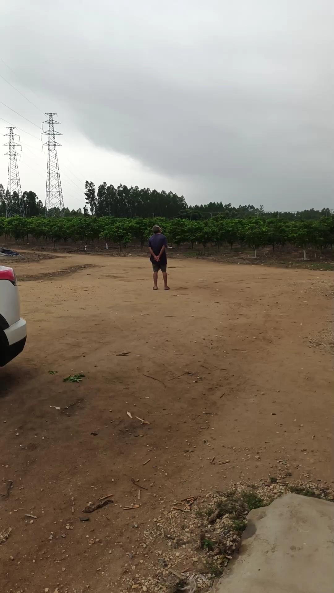 今年农民何谈容易，盼望下雨，望到颈长了都不见下雨，雨没盼到，颈椎病倒盼好了