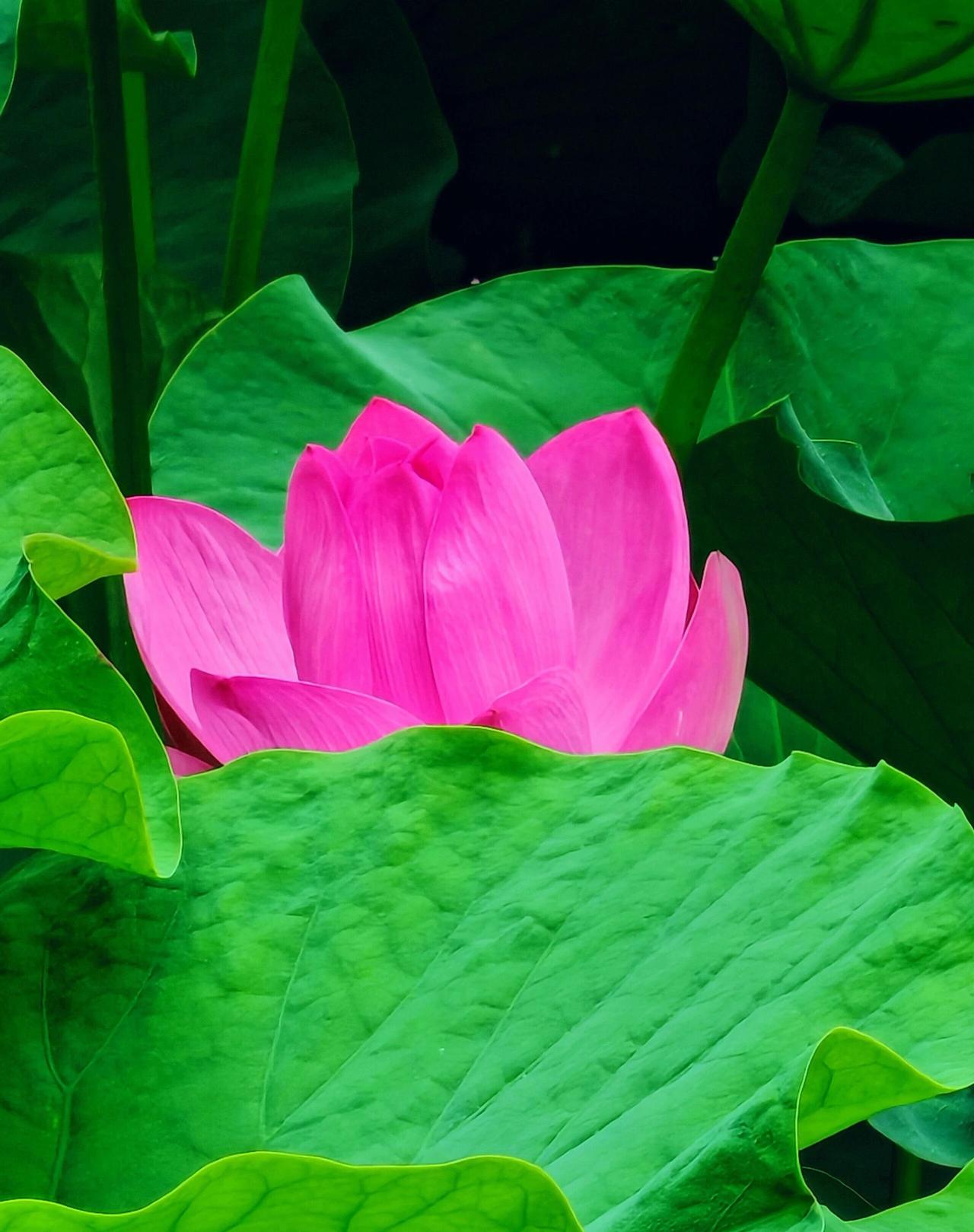 步入退休生活，这八件糊涂事尽量别碰

熬过半生职场奔波，总算卸下肩上重担开启退休