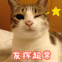 #高考倒计时##高考倒计时7天# 在这里先㊗️所有的考生金榜题名！！心想事成！！