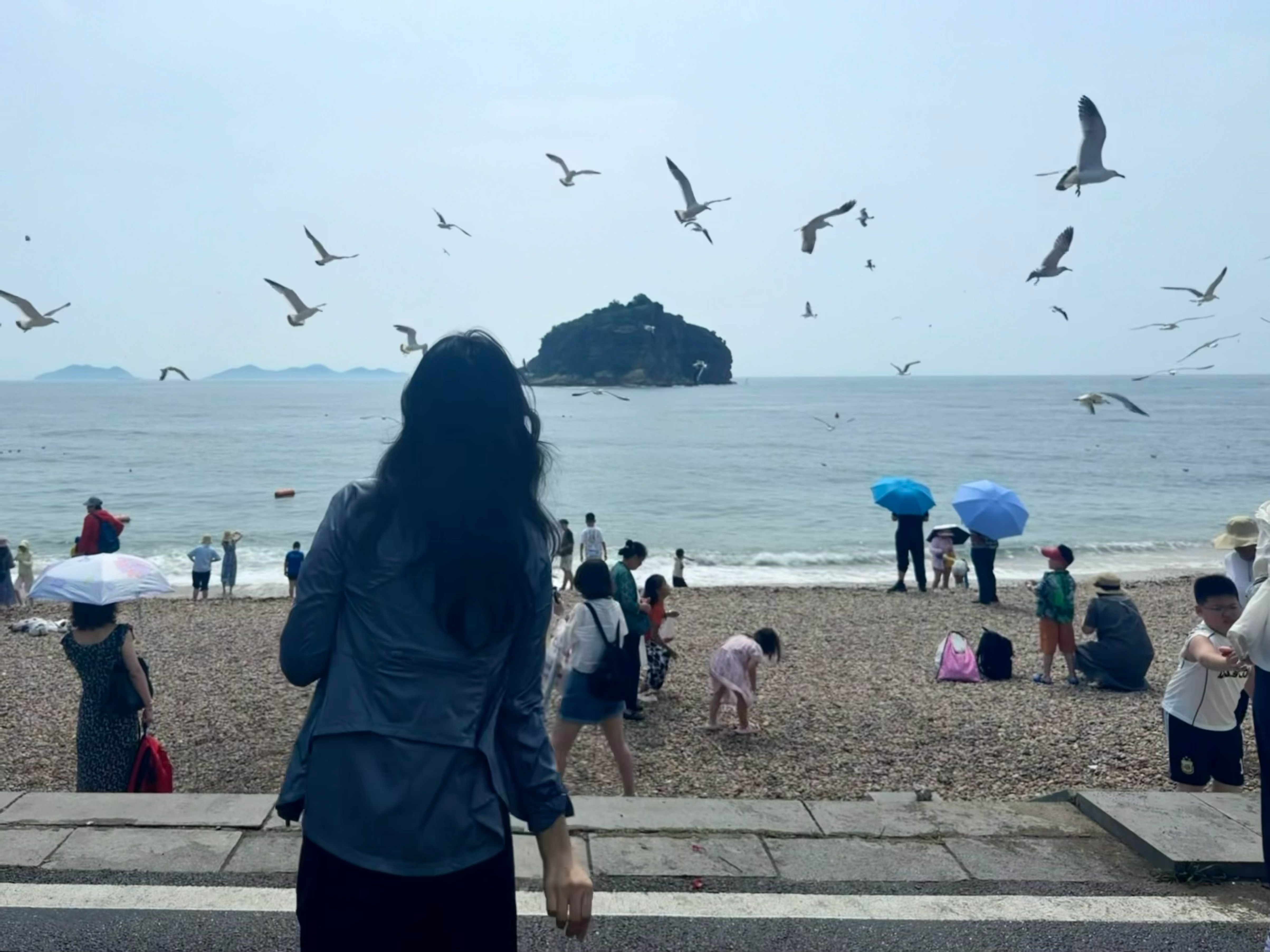 点击就看喂海鸥！哈哈太晒了，走到海之韵得知还有几公里，一秒放弃。。 大连·棒槌岛