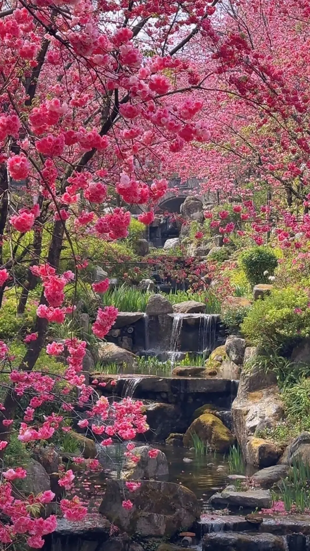 有是一个充满生机的季节！🌸🌸