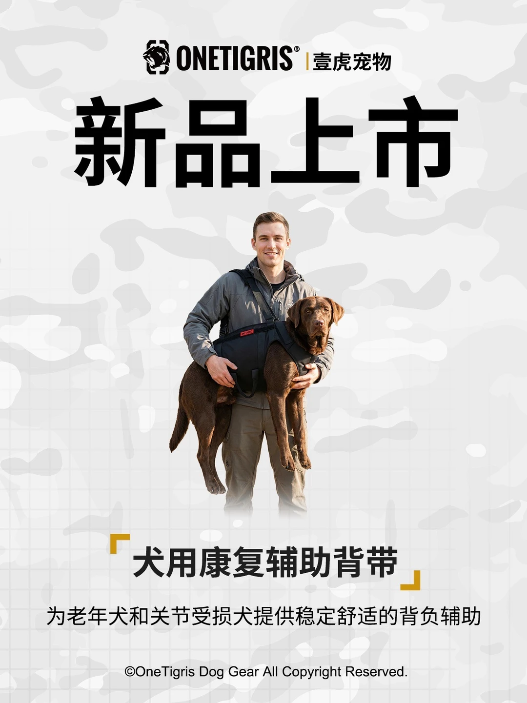 新品上市｜狗狗康复辅助背带