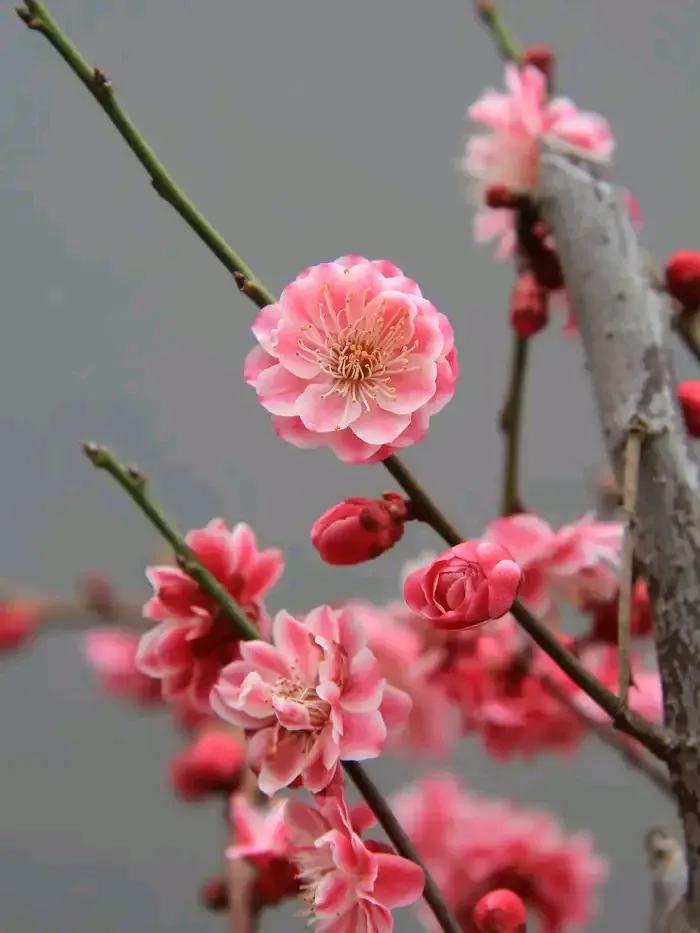 二百六十七天
03  05  10  14  18 
19  27  28  3
