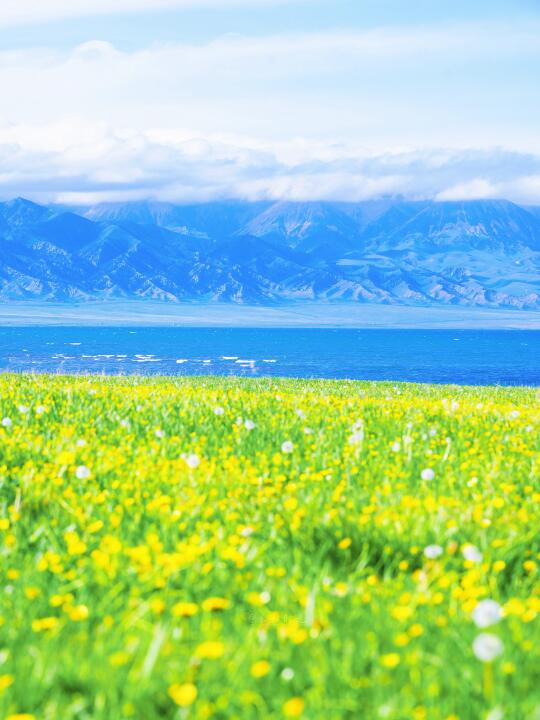赛里木湖的夏天封神⛰️国内没有平替不服来战