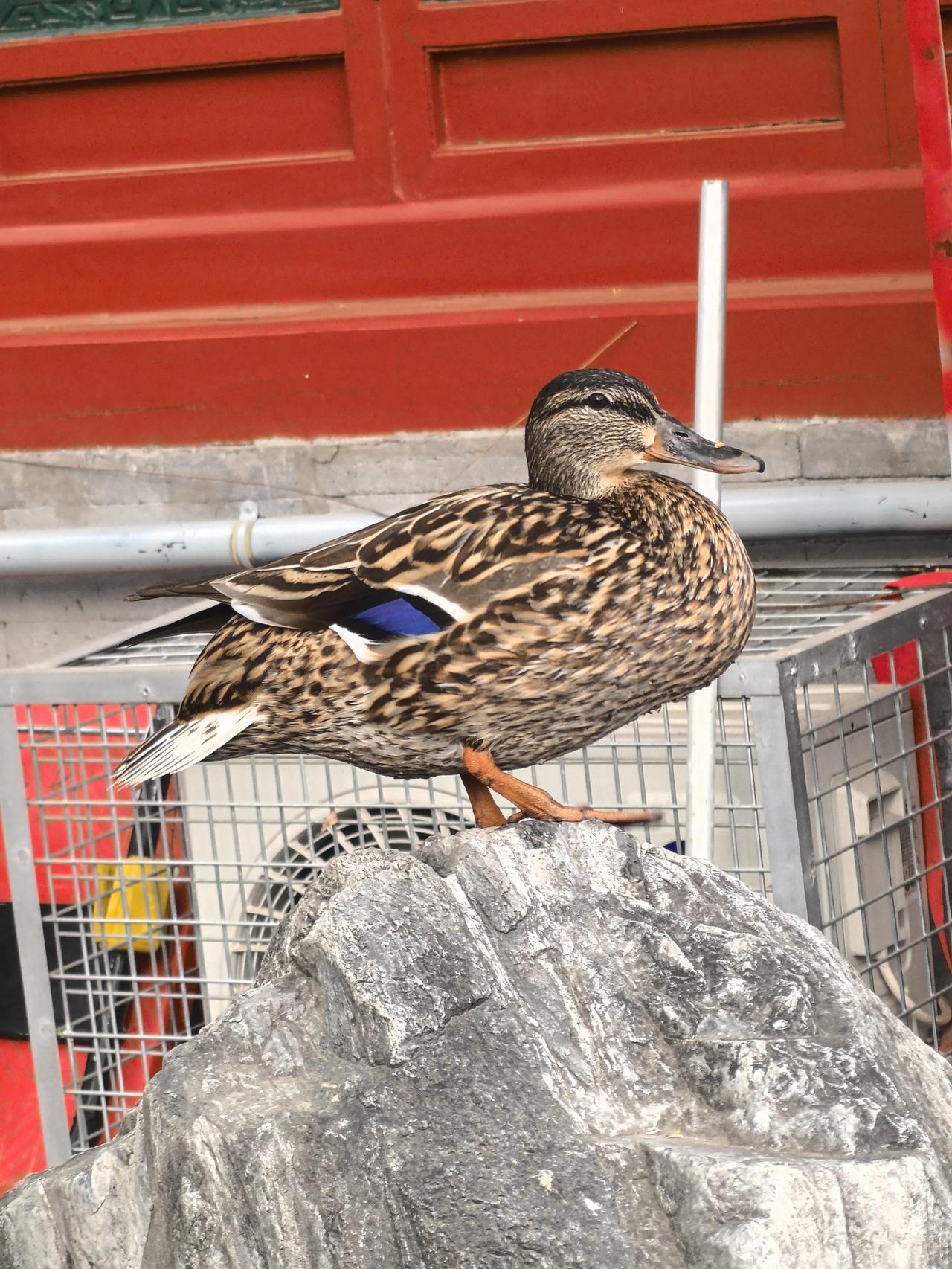 Be brave. A strong heart will lead you t