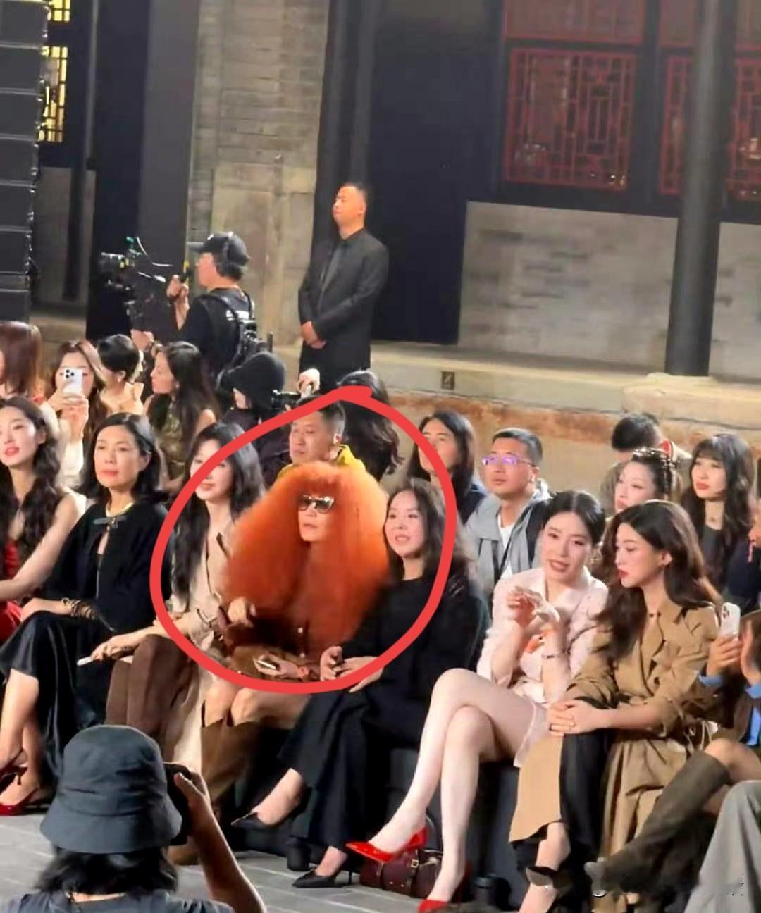 咱就说这张照片儿里有两个不合时宜。
第一个就是张蔷的那个金毛狮子头，一个人占三个