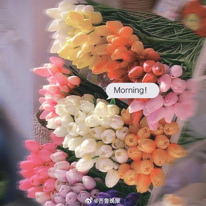 #早安# 每一个现在和未来，都会万事胜意和充满爱[心] ​​​