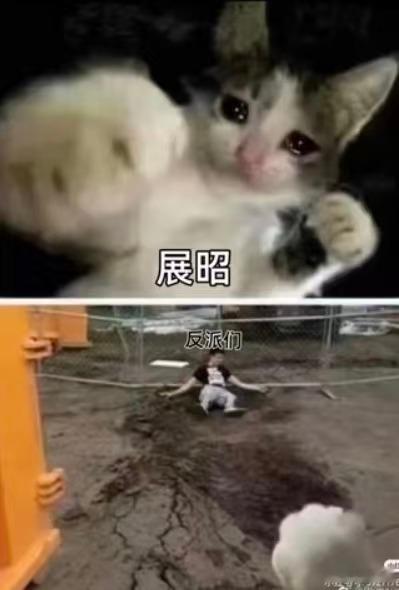 看着文文弱弱不会打架，实际上一拳能把你打飞杨洋展昭回开封府打卡展昭重回开封府