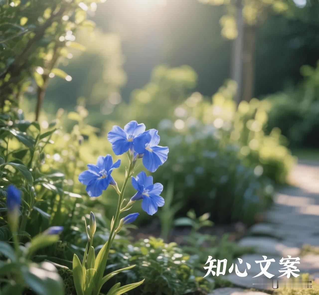小时侯真的好辛福，什么都不用愁，不懂父母的辛苦，也不明白生活的酸甜苦辣，现在长大