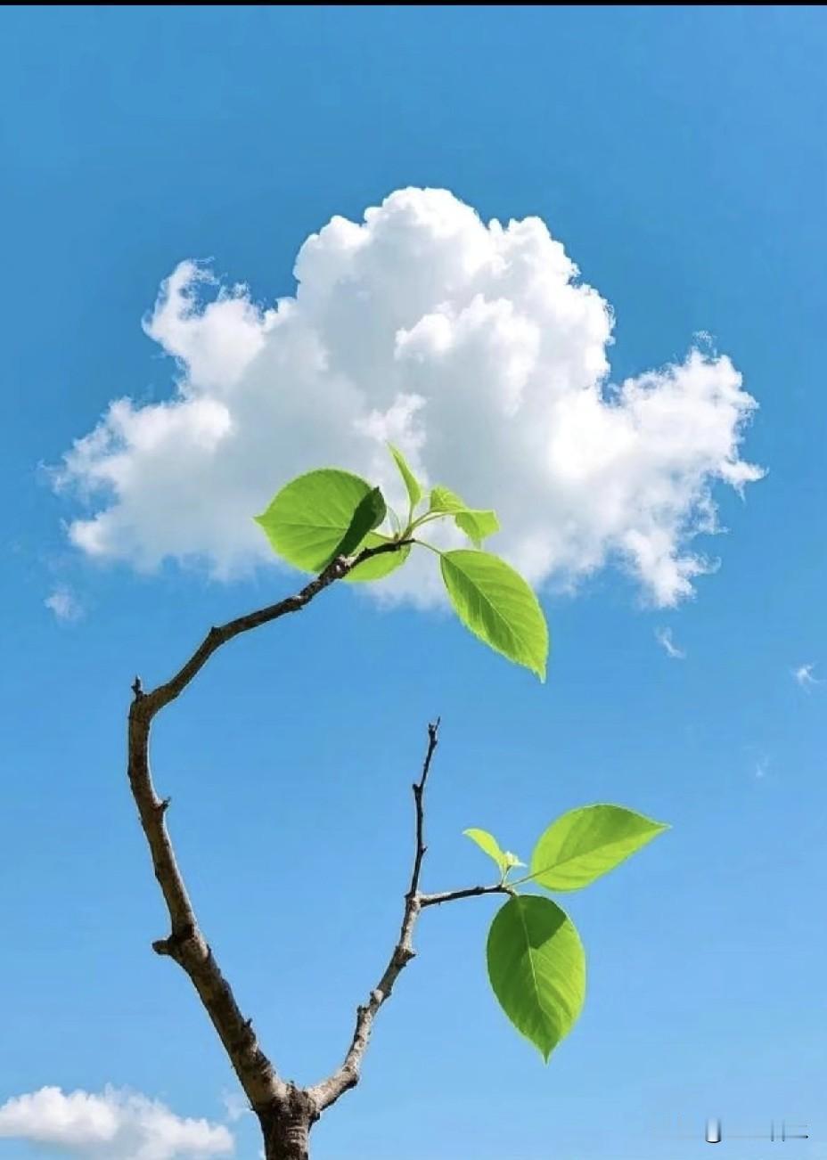 我们每个人都有机会加入这样的活动，前提是需要自己不断的深耕，不断的优化自己的内容