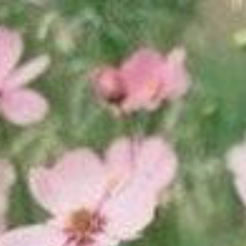 正能量以简单的心。走好自己的路。过好自己的生活。不羡慕，不嫉妒。只要心安就好。阳