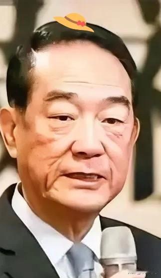 近日，台湾亲民党主席宋楚瑜这样解释，“为什么台湾属于大陆”，他说“如果台湾不是大