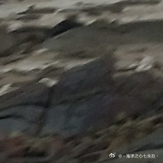 每日一善         改变的秘诀不是多努力地和过去做斗争，而是全力以赴地去打