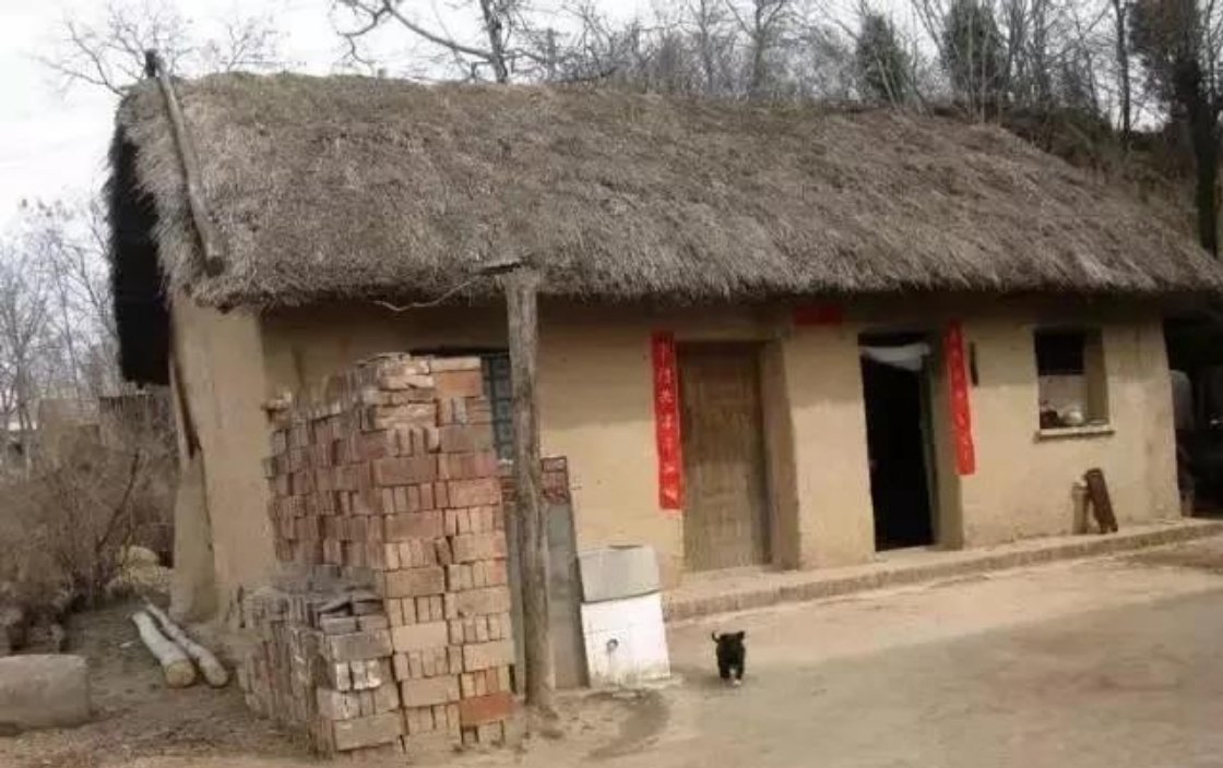 [2025]          村无烟火只余房，野草深深掩旧墙。        