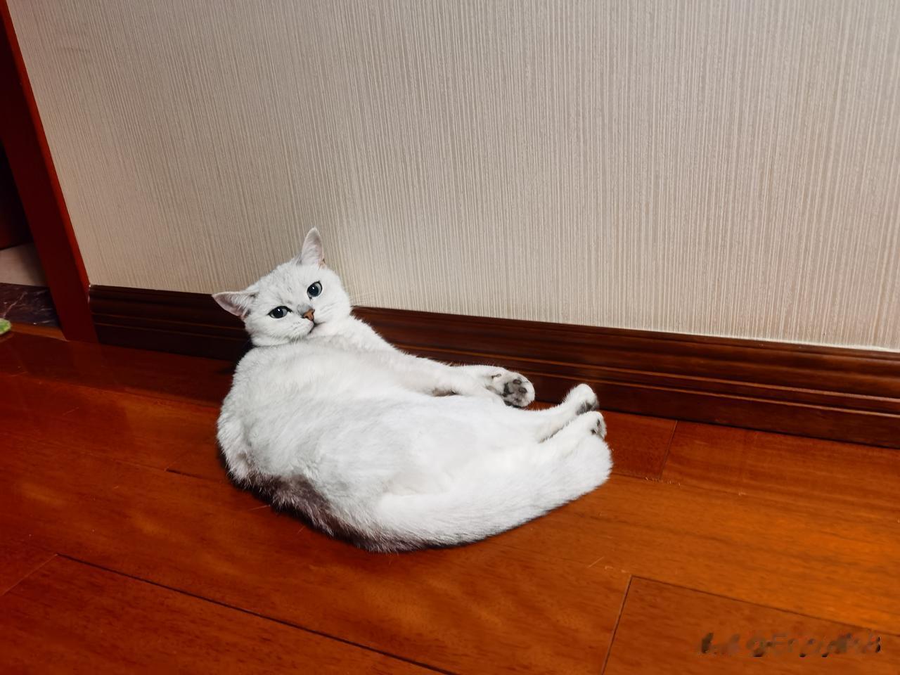 分享我这周有趣的事：博导老公的周日清晨：7点催作业，9点学生还在做梦😴

周末