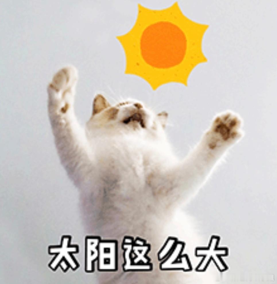 真TM热，刚才吃早饭开窗通风换气一会儿，吹进来的风都是热的！！！这才早上几点啊