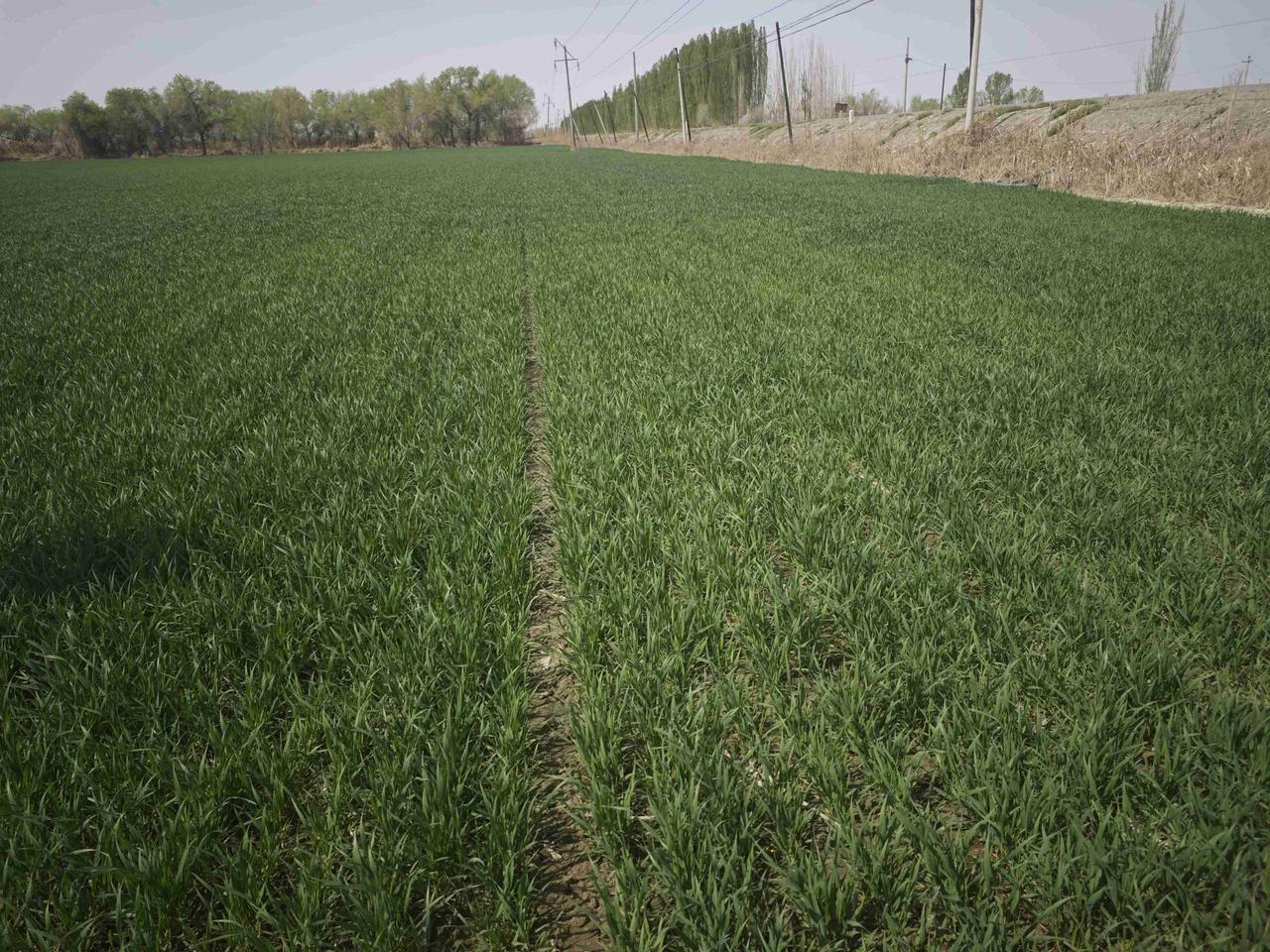 我的今日状态：💰期待暴富
我这里的天气：☀️晴天