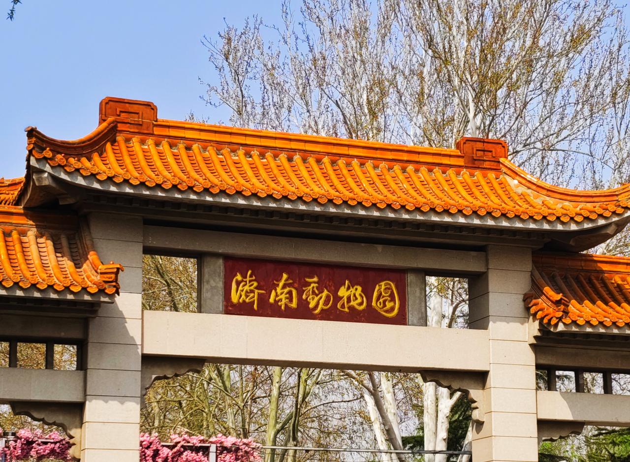 济南动物园一日游  今天，朋友约我去济南动物园逛逛，因为她女婿在那里承包了一个项