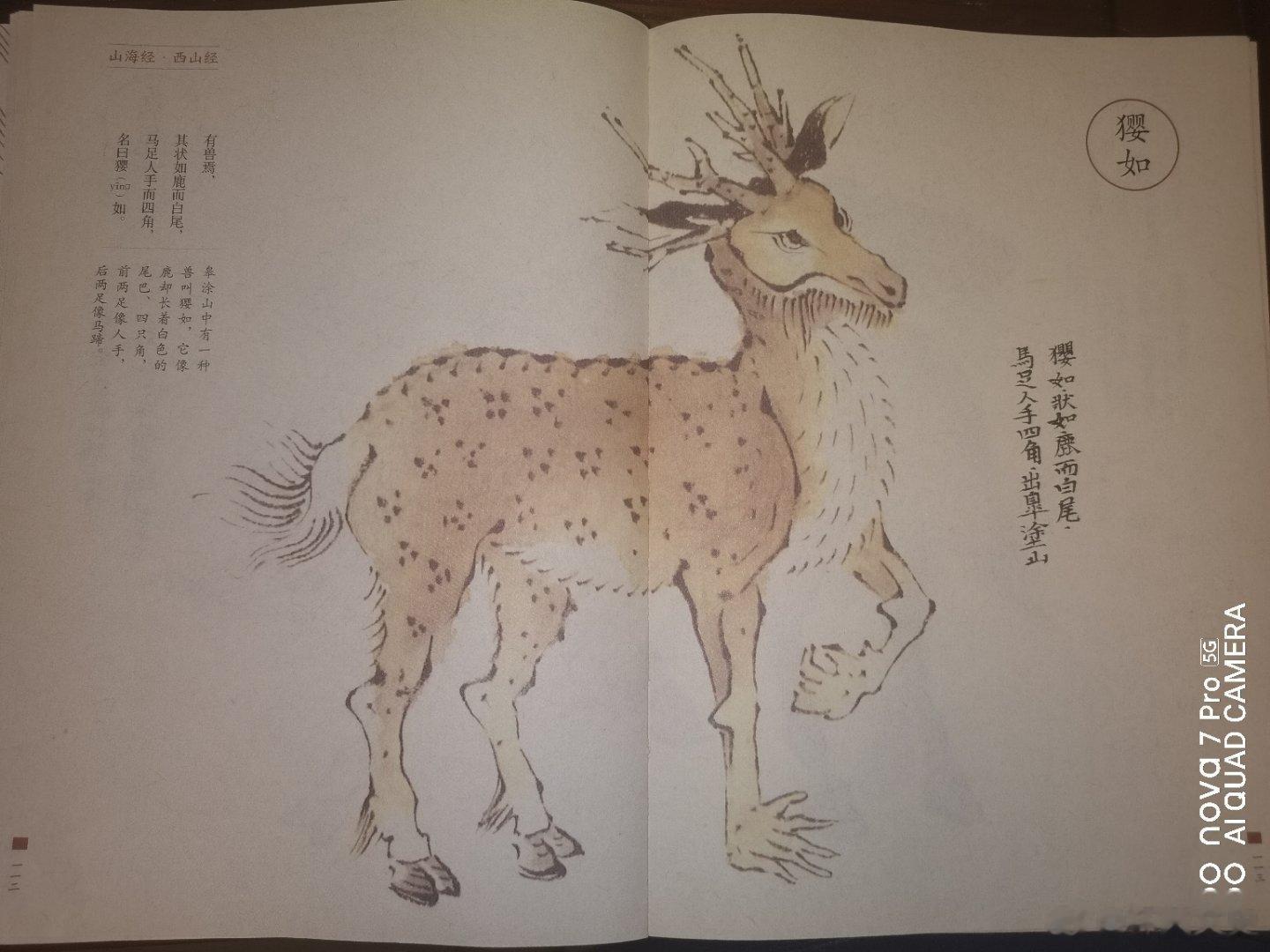 #历史[超话]#前蜀皇帝王建的义子们。最初，唐王朝末年宦官掌握军权时，纷纷收养部
