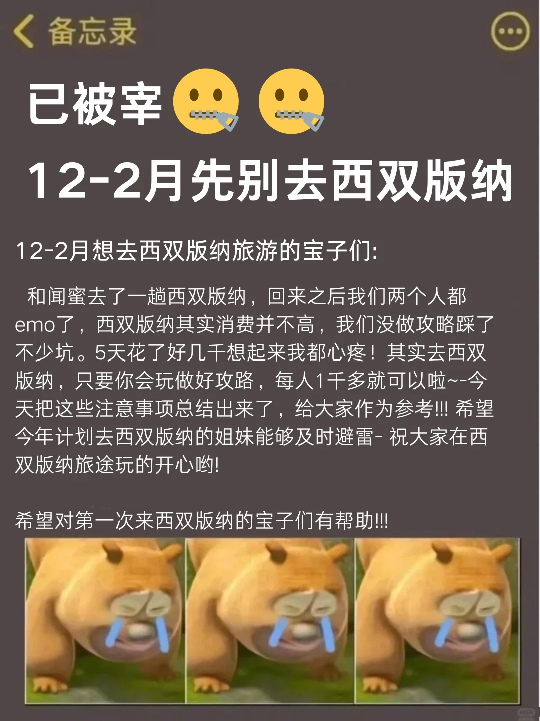 崩溃😨为何去西双版纳之前没人告诉我这些😫