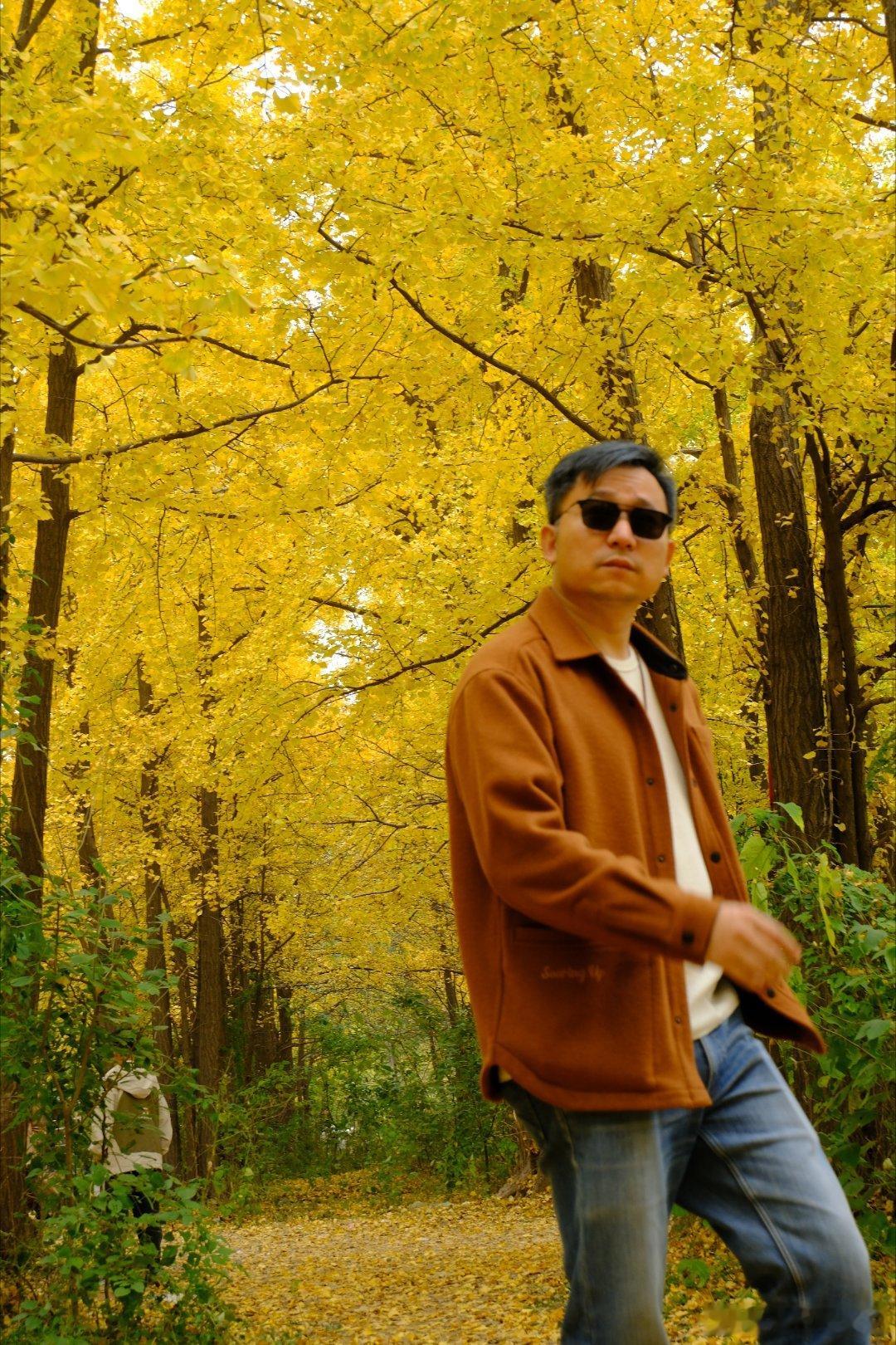 又是一个愉快的周末结束了临沂的银杏林每一年都能有不同的快乐今年的快乐是这辆lem