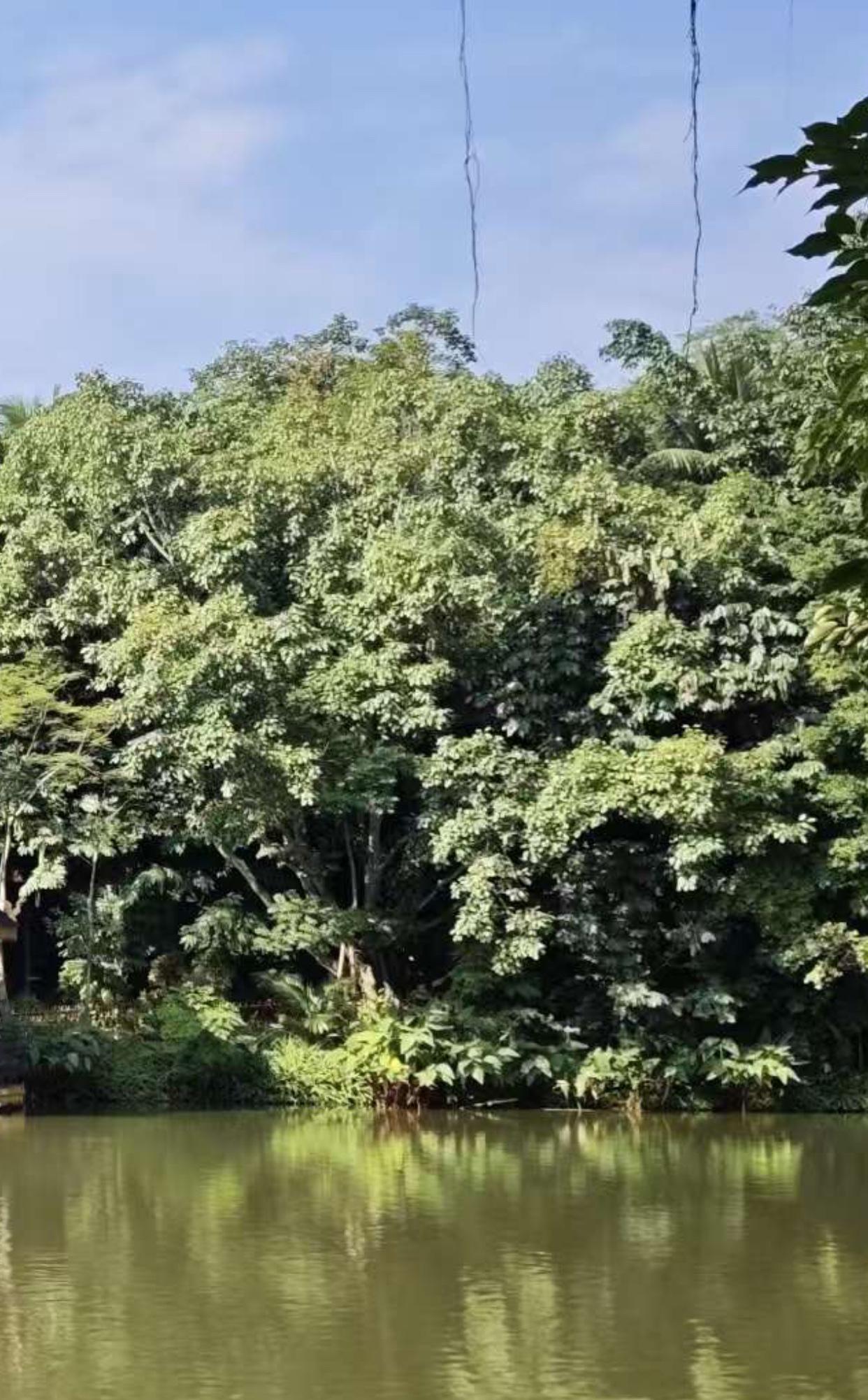 上联：风拂塞北千枝瘦…诚邀下联我对的下联是，雨润江南万树盈。