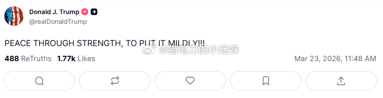 特朗普：以实力求和平，说得委婉点！！！ 