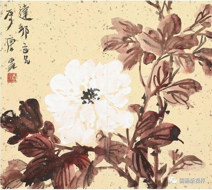 每日为生活拍张照